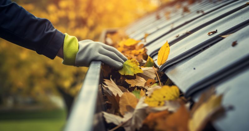 Fall Siding Projects